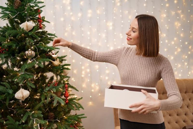 Step-by-step guide to buying the best Christmas trees