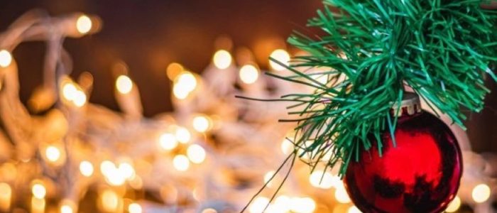 Scarcity of Christmas trees and all you need to know